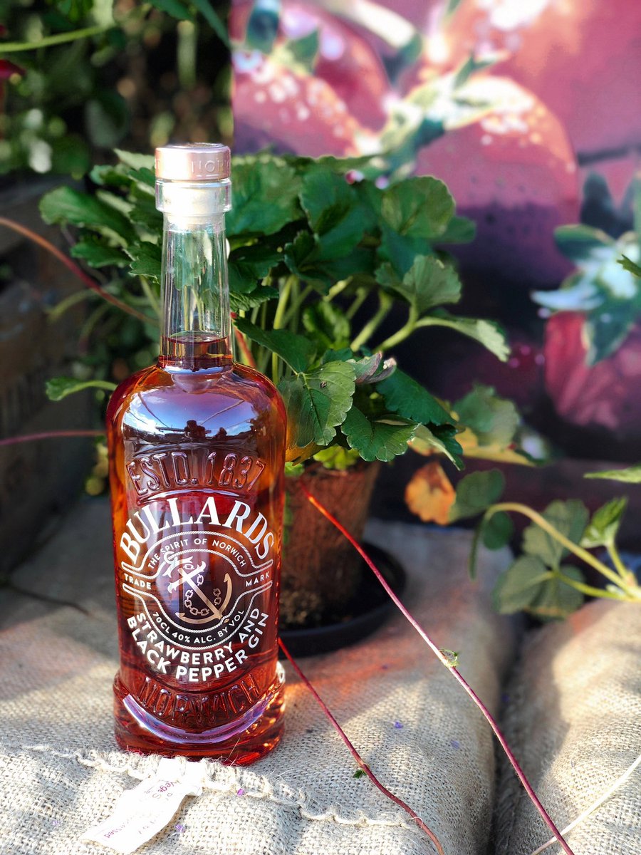 Find us in the Food Hall <a href="/norfolkshow/">Royal Norfolk Show</a> we’ve got some amazing show offers to fulfil all your Gin dreams! #NorfolkShow #foodhall #gin