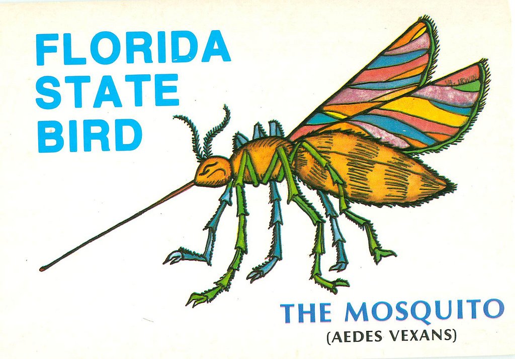 BiteBackLLC's tweet photo. Hey Florida, looking at you 😉

#mosquito #humor https://t.co/fTVuxlEg3n
