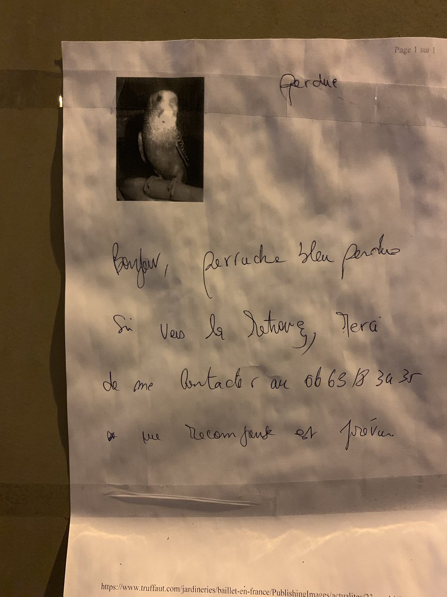 oasisdehorror's tweet photo. #HumansOfParis https://t.co/D2UfiMp1uD