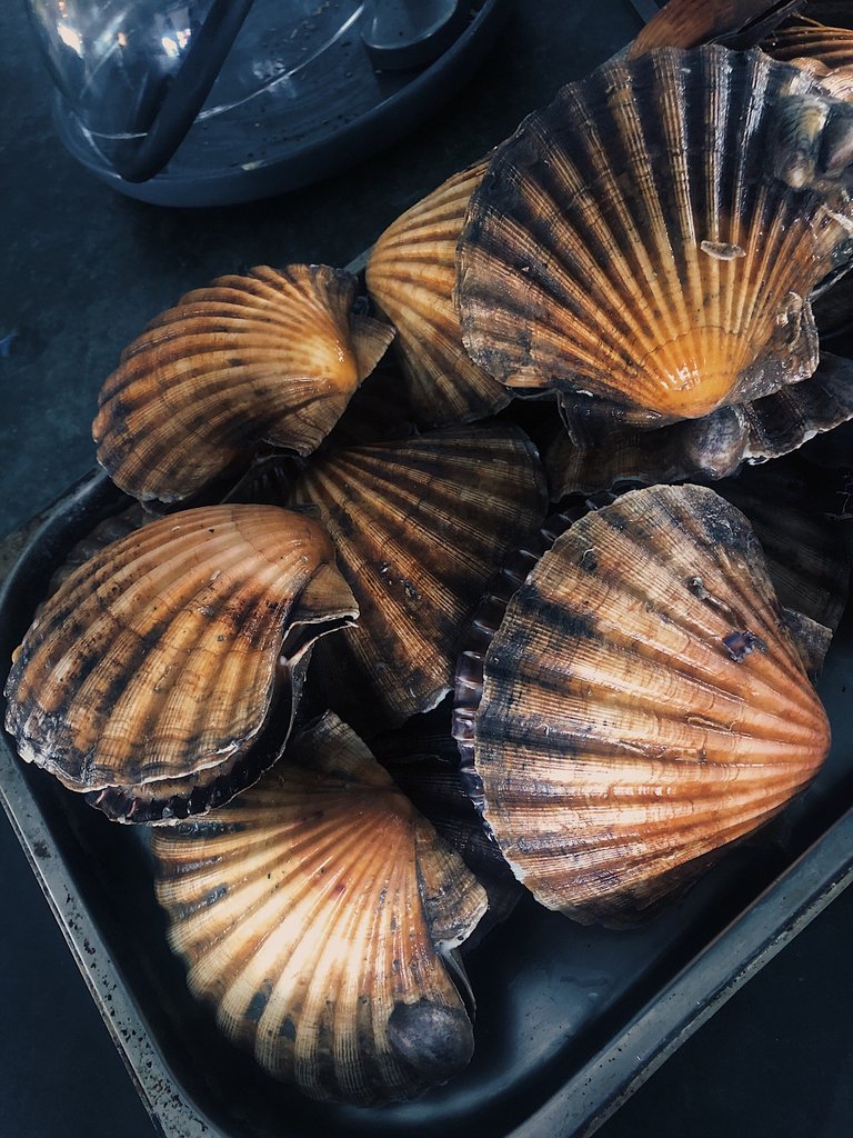 dokkelivingroom's tweet photo. Hand dived scallops caught yesterday. from Devon dived by Frazer in Brixham 

#nomnomnom #theresmyfood #thefeedfeed #eatthis #dinner #getinmybelly #thisislondon #dokkelivingroom #dinnertime #food52 #supperclub #tlpicks #wapping #stkatharinedocks https://t.co/v9iFUd5Vu2