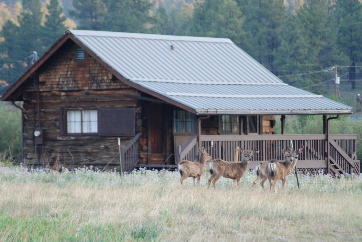 Jakebthom's tweet photo. Greer, AZ https://t.co/M1EosDaewP
