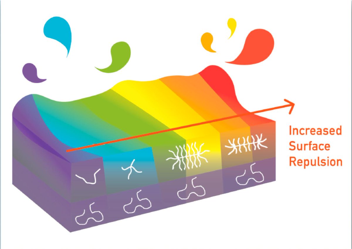 Just out in @Macro_ACS: Tailoring the Attraction of Polymers toward Surfaces, with <a href="/UTKnoxville/">UT Knoxville</a> Gila Stein and Travis Laws pubs.acs.org/doi/abs/10.102…