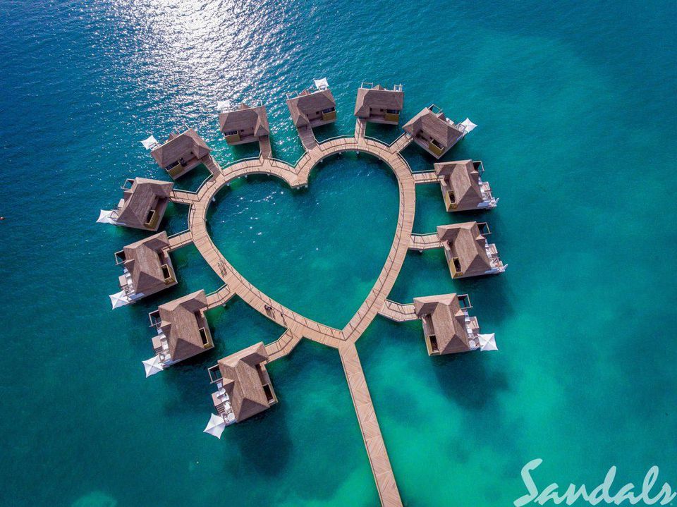 tropicalitytips's tweet photo. Jamaica Ranked Number One #Caribbean Destination On @TripAdvisor 🇯🇲
https://t.co/rdqBSdMkZW
#traveltip #travelblogger https://t.co/82O80zS8Z8