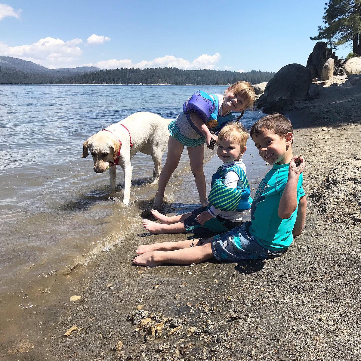 Luccrazy's tweet photo. Three lakes in the #Sierra Nevada Mountains in one week. #SquadJr at Shaver Lake, #JackAttack and Biscuit at Bass Lake, and a cold dip for Biscuit in Weaver Lake at over 8,000 feet elevation. #summer #ilovecalifornia https://t.co/ItmZzwnWJ2
