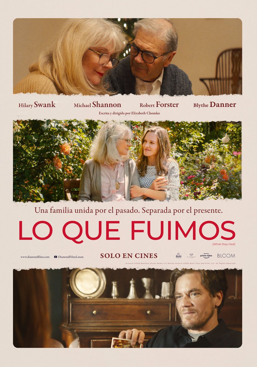 SupercinesCa's tweet photo. Bridget vuelve por Navidad a casa de su hermano Nick en Chicago. Durante su estancia allí se dará cuenta de que su madre, enferma de Alzheimer, cada vez está peor y la van perdiendo poco a poco... #LoQueFuimos
__
#supercines #supercinesca #WhatTheyHad https://t.co/EkuTgVfOmq