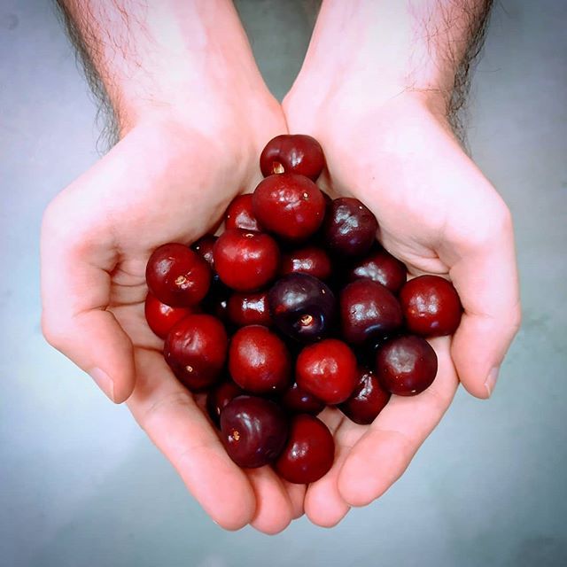 ¡Ojalá la temporada de las picotas durara todo el año! ♥️ bit.ly/2ZPInq1