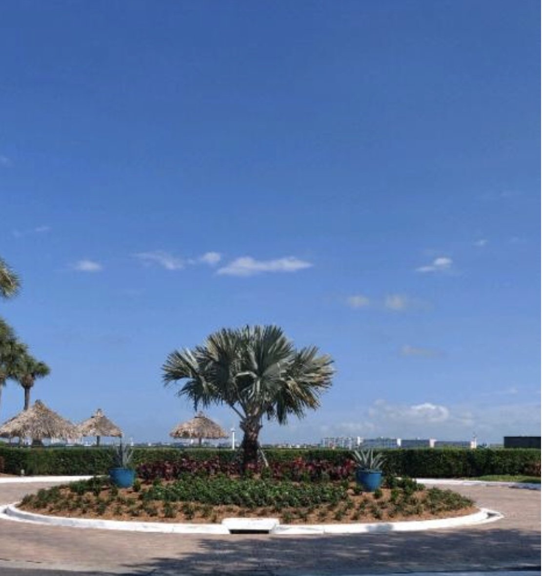 FieldstoneLS's tweet photo. Summer vibes! ☀️🌴

Fresh install at La Puerta Del Sol Condo Community - Isla Del Sol in #StPete! 
.
.
#FieldstoneLandscape #CommercialLandscaping #Enhancements #SummerInstall #landscaping https://t.co/XAim1uUWCf