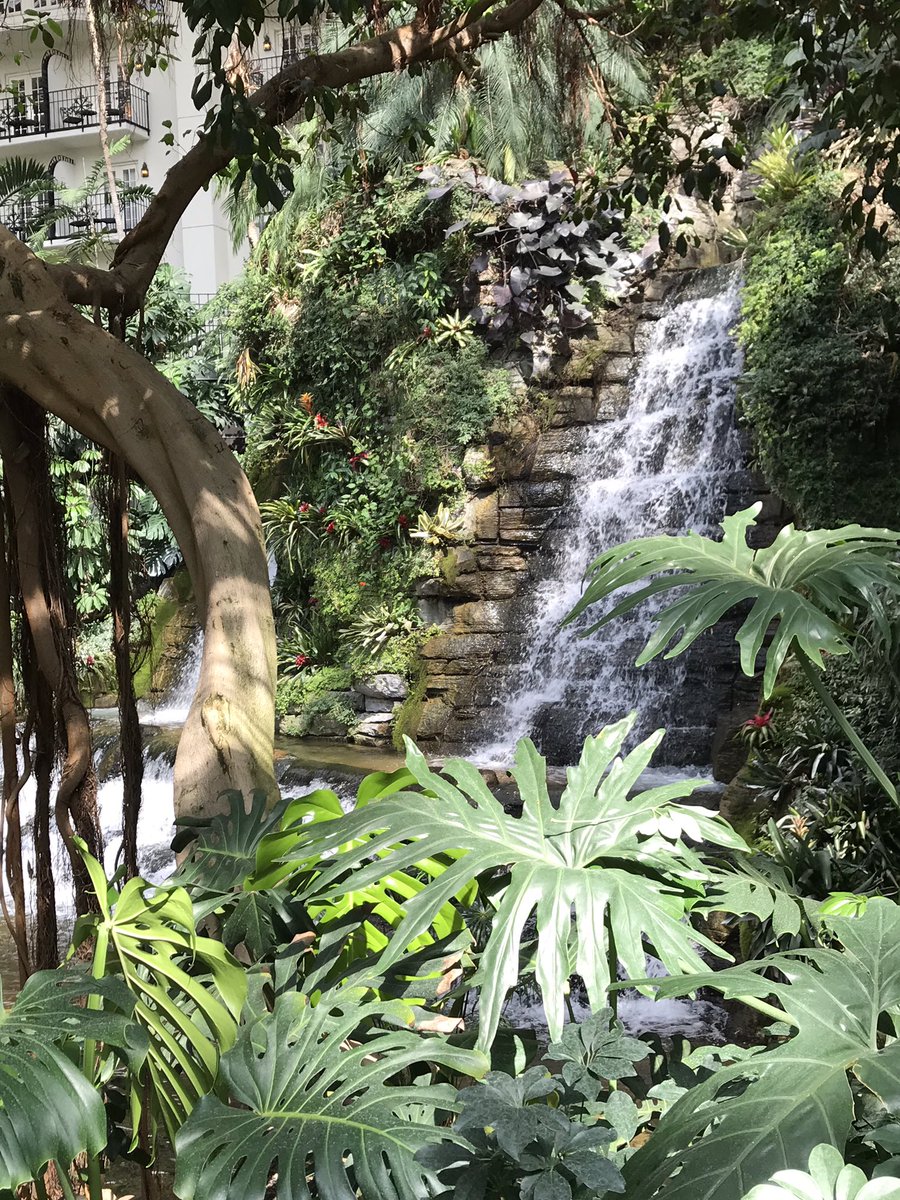 LeadingEdgeHR's tweet photo. Did someone saw Hawaii?!  Last chance to stop by @OurBenefitsWork by @RiskGrp booth 1036 to enter to win.  #SHRM19 #hrpro #yourhrpro https://t.co/D4EbaffkKO