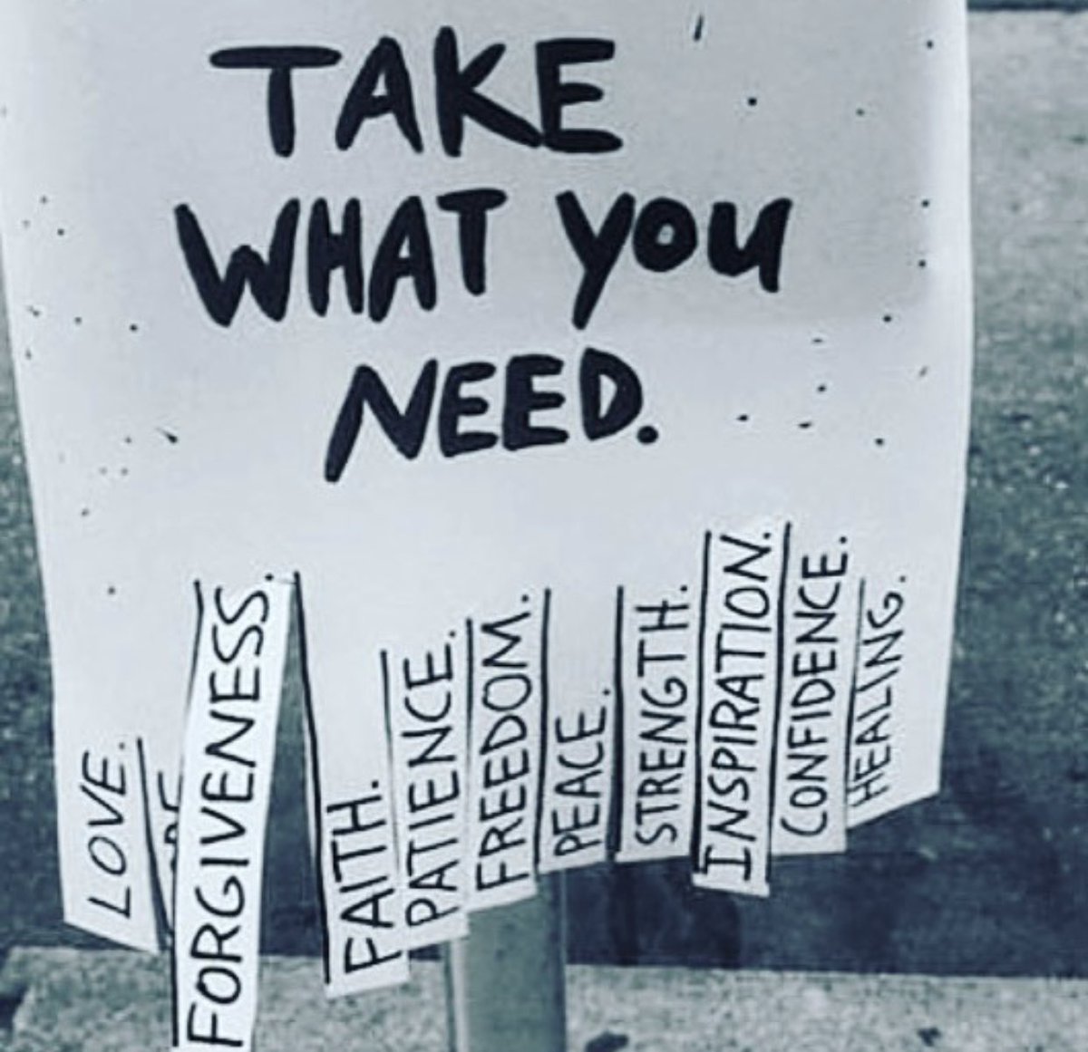 Sofia Wylie (@sofiawylie) on Twitter photo 