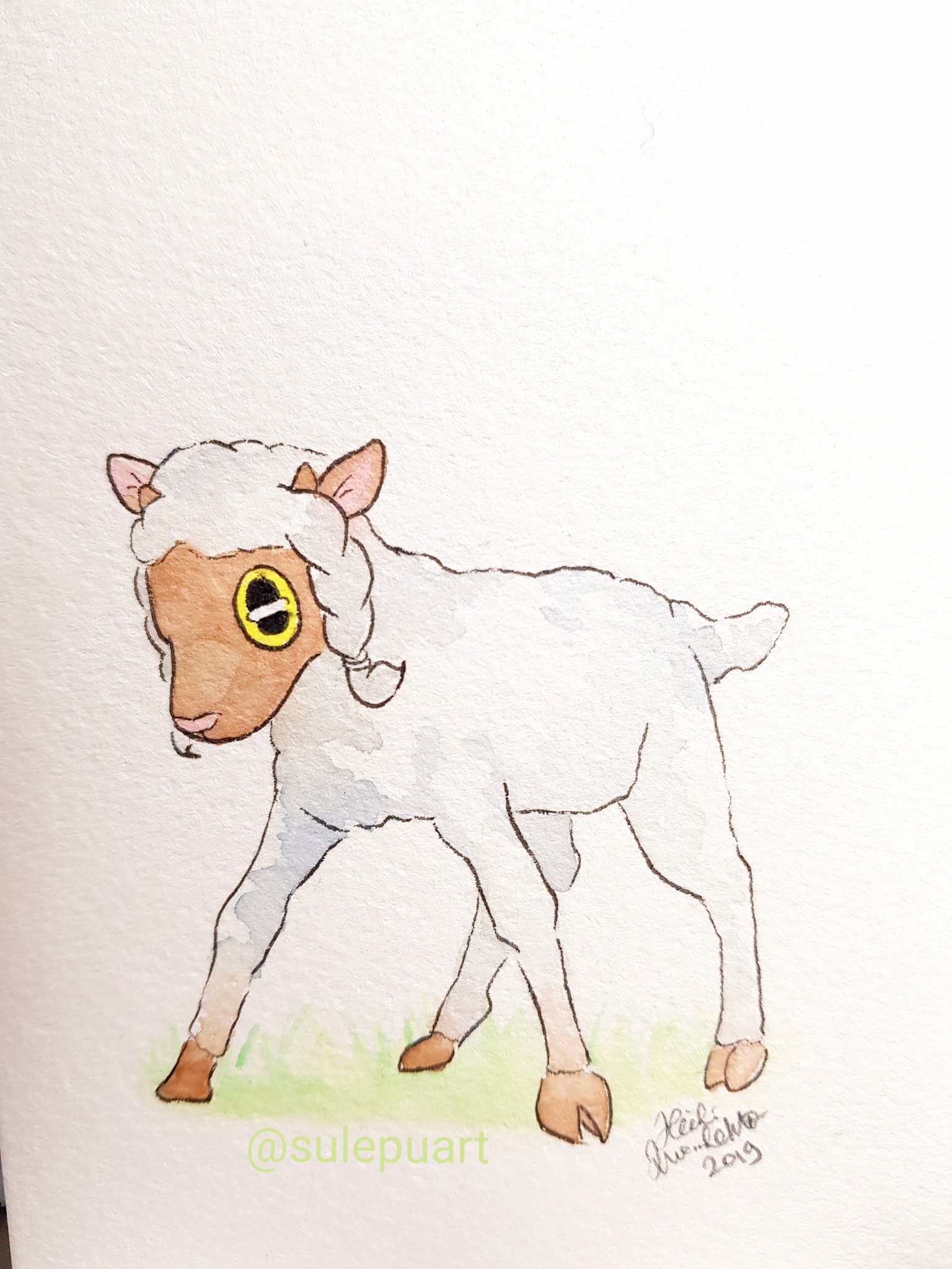 Sulepu A Shaky Little Wooloo Because All Of The Adorbs Pokemon Pokemonswordshield Wooloo Wooloopokemon Watercolour Art Lamb Sheep Comics Sketch スケッチ ポケモン ウールー 水彩 T Co Bhhffoplbn Twitter