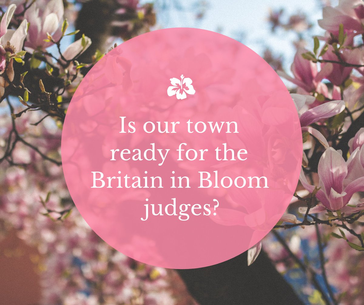 Is Oswestry ready for the Britain in Bloom judges? 🌻🌼🌷🥀🌹 They'll be in town on the Wednesday 3rd July, so let's make sure they see our beautiful town bloom! 

#oswestry #britaininbloom #community #townpride