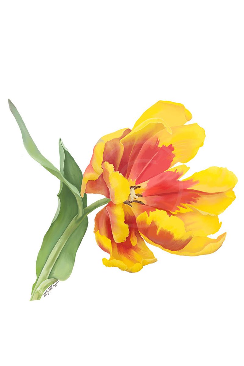 artlikethatmjgm's tweet photo. My spring art collection from my garden, I hope you enjoy. https://t.co/nSCAsO3vF8
#art #floer #springflowers #freelancer #illustration #illustrator #garden #floralillustrator #textiledesigner #floraldesigner #videospring #art #paintings #floralart #floralpaintings https://t.co/WNqkn0hN27