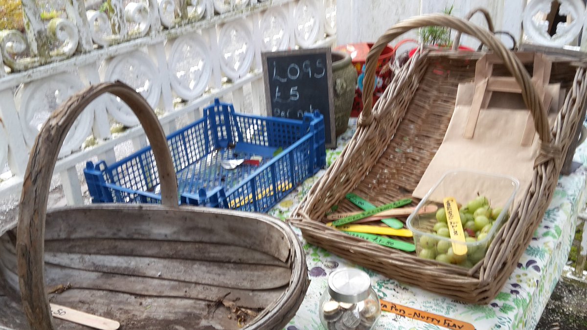 dovecotenursery's tweet image. Omg just sold out of everything apart from a small portion of goosegogs. Just finished harvesting more potatoes and golden beetroot. 😎😎#angleset #local #chef