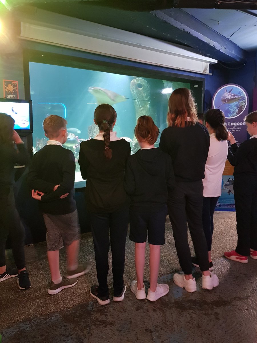 Msmythenclass's tweet photo. Great day on school tour today with fifth class . https://t.co/MIDp0TmEIN