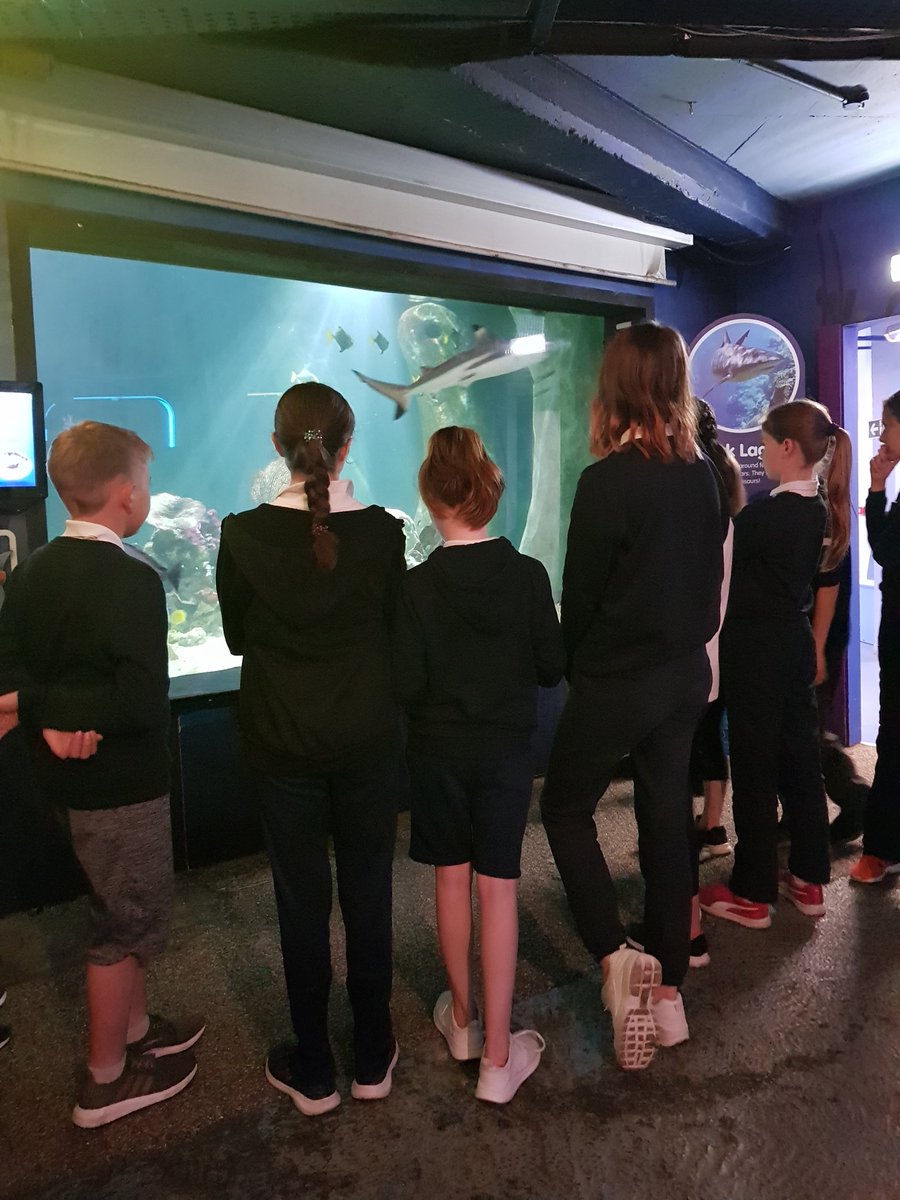 Msmythenclass's tweet photo. Great day on school tour today with fifth class . https://t.co/MIDp0TmEIN