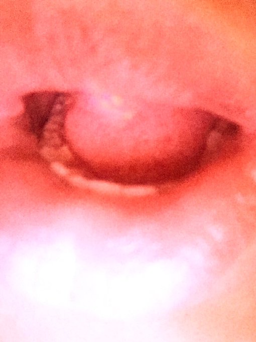 I&rsquo;ve finally come to love having big #lips. https://t.co/03zjNUSNu2<a href="/tag/lips"class="tags">#lips</a>