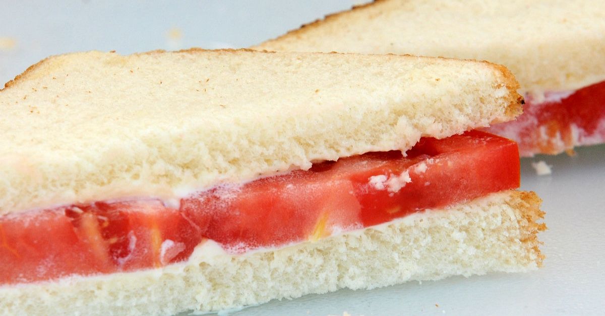 KellyKazek's tweet photo. There's only one way to eat a mater sammich. I've outlined it for you, step by step. https://t.co/f70IjxJRnW https://t.co/VUO6uTa6xg