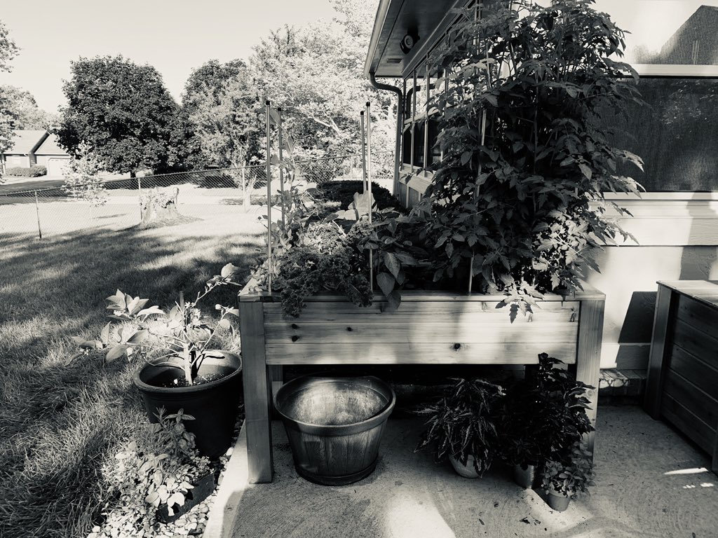 DAY 3 of 7 days of BW photos of my life.  

RULES: no color, no humans, no explanations, &amp; challenge one new insurance person a day.

Day 3 challenge: <a href="/Syd_Roe/">Sydney</a> 
#7daysofinsurance