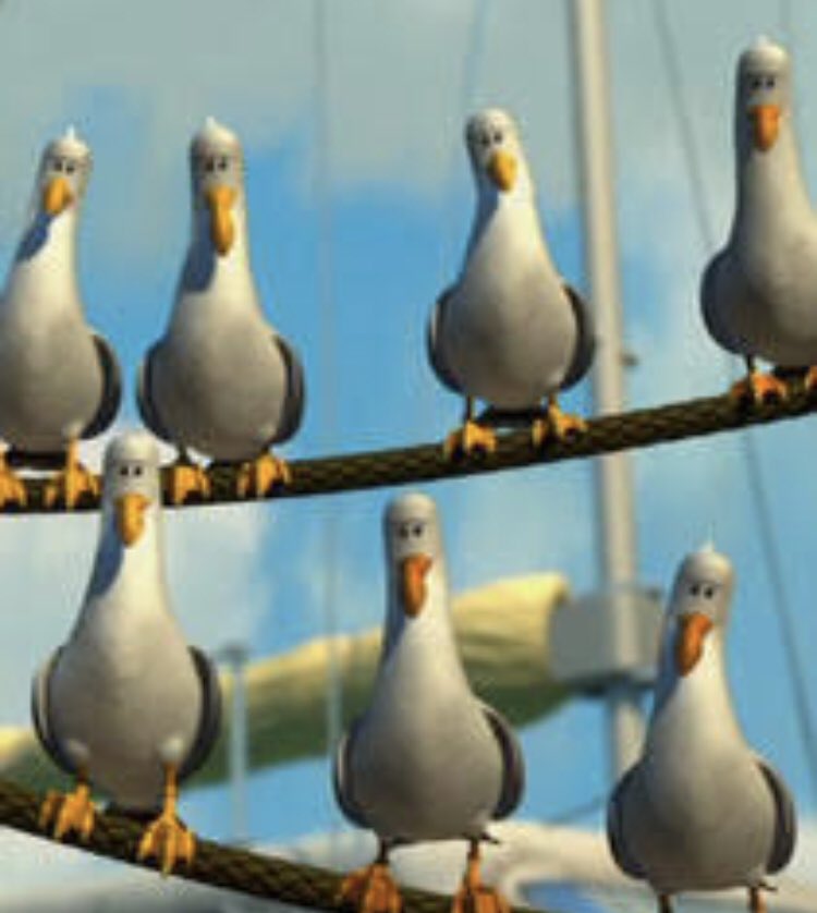 FetchedFar's tweet photo. Were the seagulls from Finding Nemo saying “mine” or “mate” with thick Australian accent? https://t.co/m5sCxI44xz