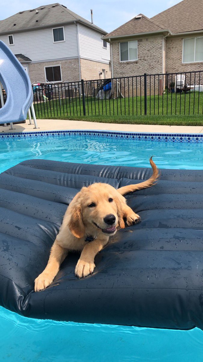 ariana_zag's tweet photo. Last summer —-> This summer https://t.co/zmlw6fUGMm