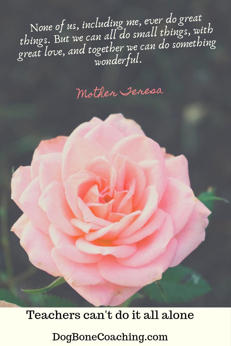 BreesBookBus's tweet image. Sums up what educators can do....together! 
@dogbonecoaching
#DogBoneCoaching
#teachers
#teaching
#coaching