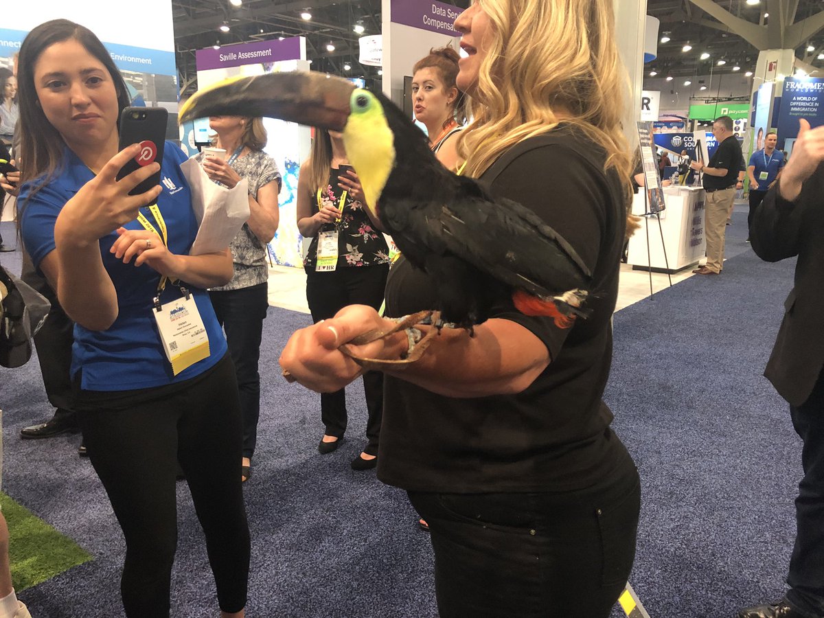 ChampAmanda's tweet photo. So I may have been a little overly excited to meet this bird (and Jack Hannah). Thank you @NationwidePet for making my inner 7 year old so happy at #shrm19 https://t.co/mSBhgXvHLN