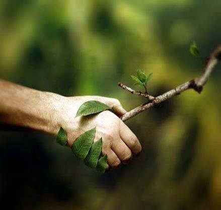 SIUC's tweet photo. Hey, #Salukis - DYK #SIU Carbondale's #TouchOfNature is one of just 12 organizations chosen to be a 2020-2024 Master Educator Course Provider for the #LeaveNoTrace Center for Outdoor Ethics? Their first course runs Nov. 1-4. Check it out: https://t.co/iFFXJAxWQ2 #SIUAlumni https://t.co/jCrx7feQ6Z