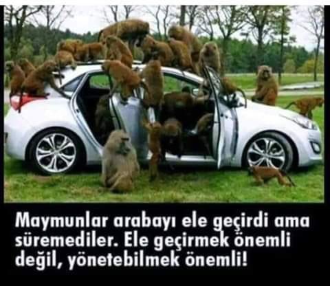 Av.Hülya Gök tweet media