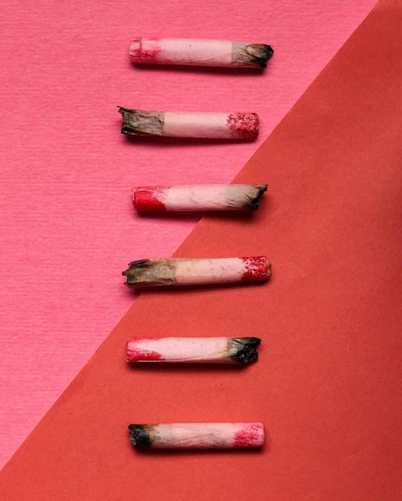 canngaroo's tweet photo. 🍒
• ⠀⠀⠀⠀⠀⠀⠀⠀⠀
#cannabis #cannabiscommunity #instagood #weed #marijuana #high #stoned #herb #fun #stoner #pink #onelove #peace #kush  #thc #cbd #vape #edibles #canngaroo #leaf #herb #legalizeit #pot #medicinal #medical https://t.co/K6GYVIERFq