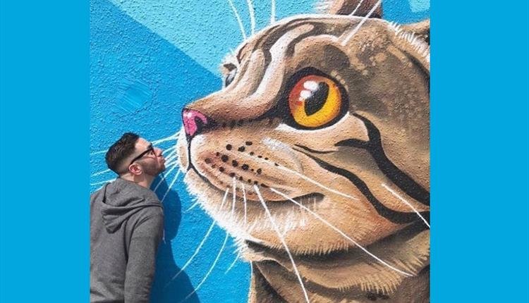 1WorldByTheSea's tweet photo. Who saw the amazing 'Selfie Wall Trail' in Bournemouth last summer?
The talented artists who created this piece are @smilin_lewie @altregoart @lucanart @owain_nicholls @dairovargas @krishnamalla @rickyalso
#OWBTS #IEF #BOMO #festival #international #art @bmouth_offical https://t.co/zq3c6I5z4J