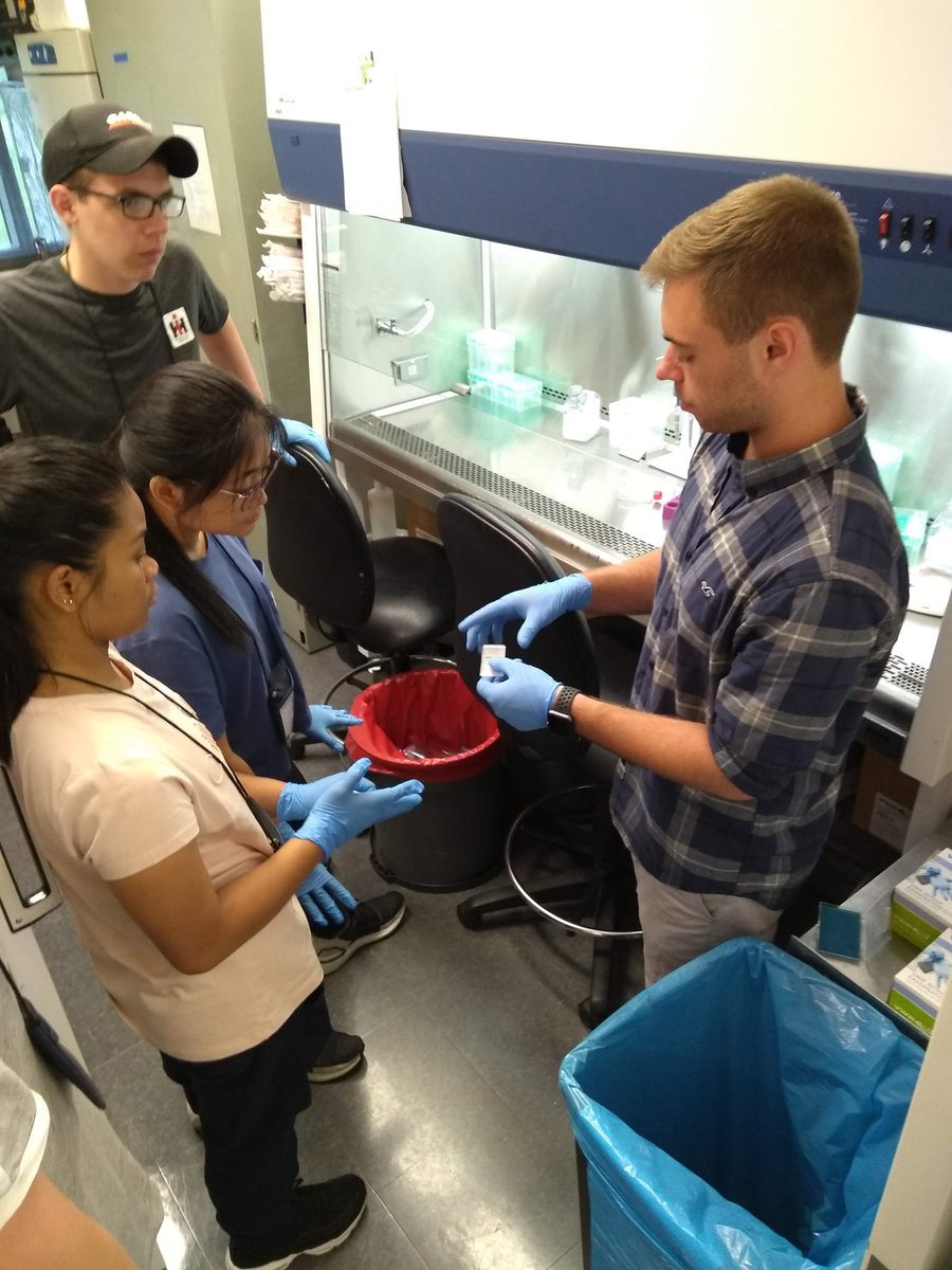 CornellBME's tweet photo. Today and tomorrow, it's a summertime outreach extravaganza @CornellBME We're hosting #4HExplorers learning about cardiac engineering in the @ButcherLab #futurebiomedicalengineers! https://t.co/T96ZvhHP0h