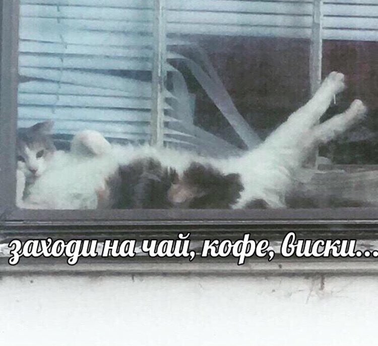 ухожу на другой акк буду там рада каждому!!!!!!
@pivoiobjatia 
@pivoiobjatia 
всех люблю всем пис