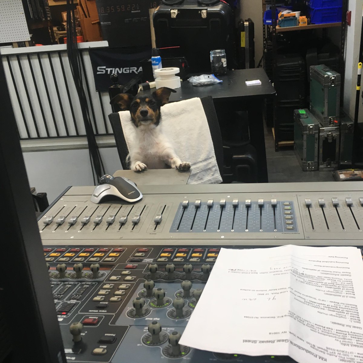 Pro-Sound tweet media