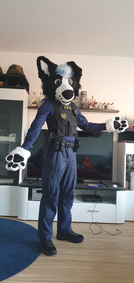 🐾 Fex 🐾 tweet media