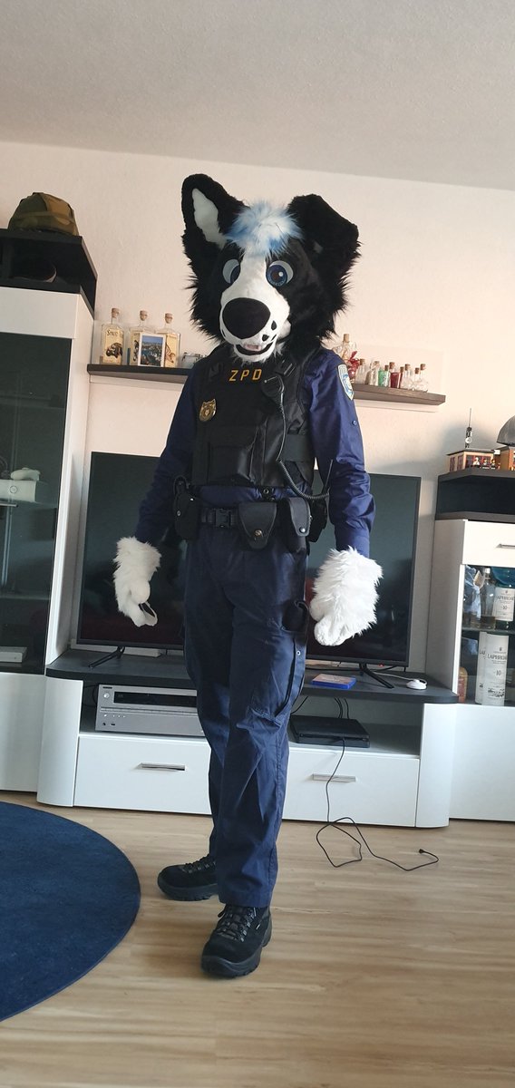 🐾 Fex 🐾 tweet media