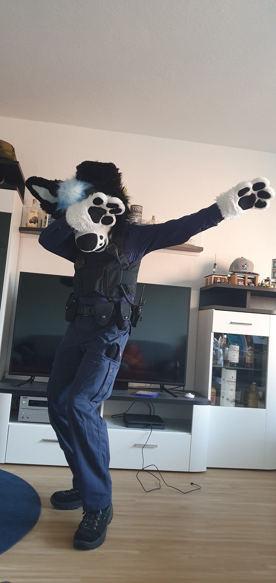 🐾 Fex 🐾 tweet media