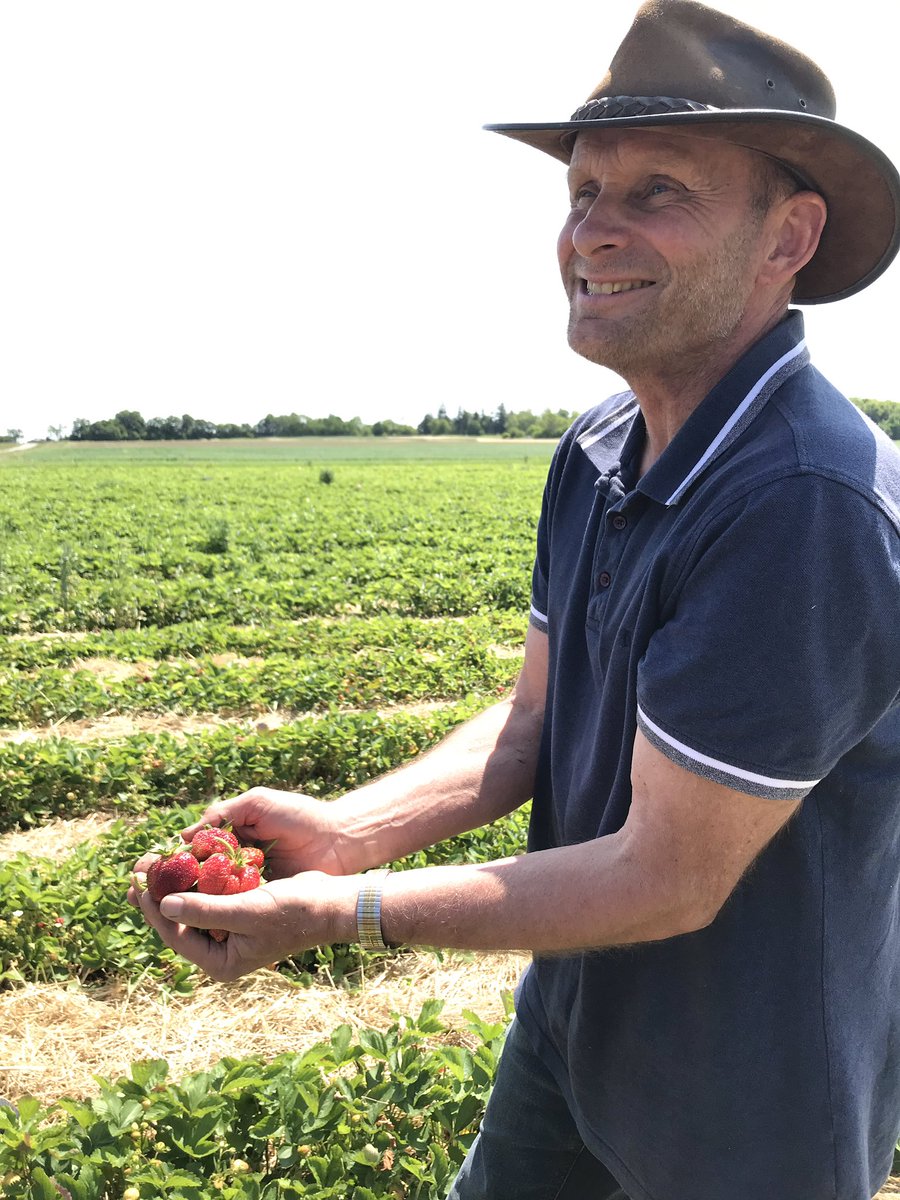 Reesor's tweet media