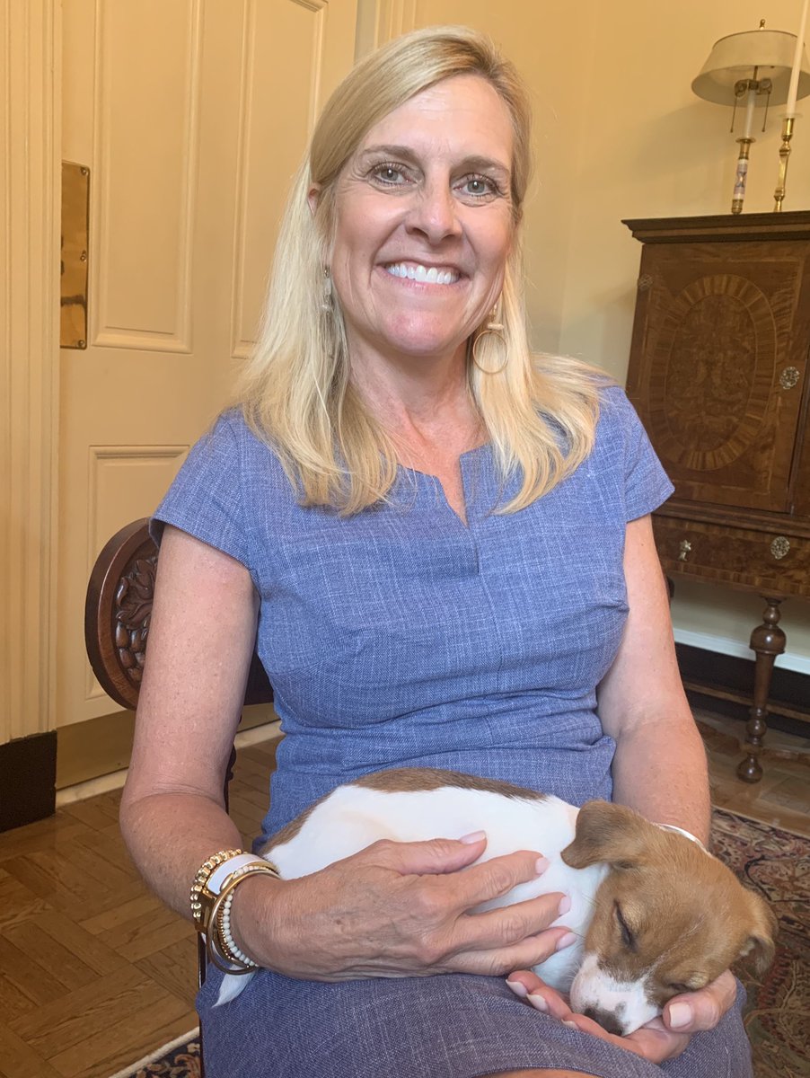 GAFirstLady's tweet photo. Just wrapping up a planning meeting for the Pet Adoption Day at the Governor’s Mansion this Saturday. Savvy is resting up so she’s ready to go - will you be there with her? https://t.co/ZSWmArZsDB #gapol https://t.co/i1bLxx04LF