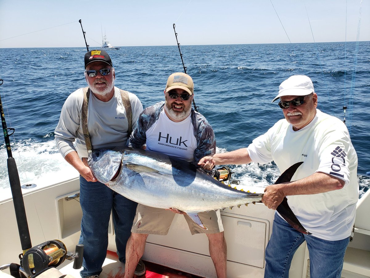 Tom Mason tweet media