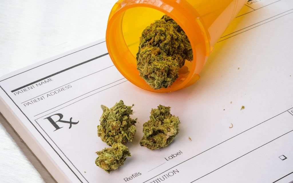 Cannaramic1's tweet photo. Story via @fox5ny
https://t.co/4LjCvar6Rf
#MedicalMarijuana
#cbd
#cannabisstocks
#CannabisBusiness
#cannaramic
#seecannabisdifferent
#startup
#education https://t.co/5cSjsSPrmK
