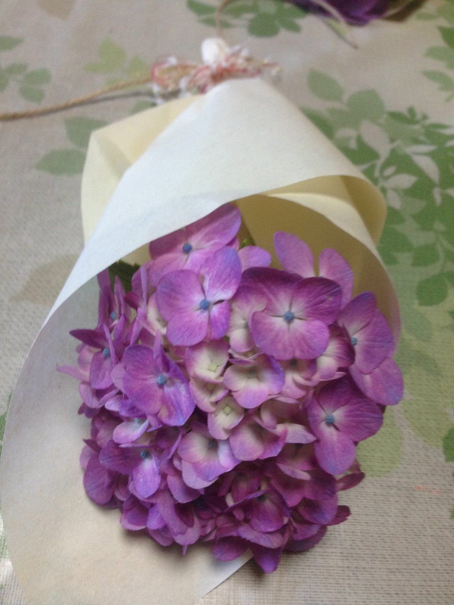 紫陽花のおまじない