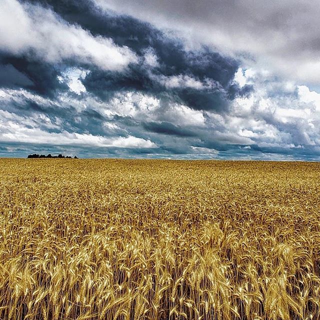 Anyone else really bad at waiting? 🙍‍♀️🙋‍♀️Sometimes our true selves show when we have to wait for things. 🙅‍♀️🤦‍♀️
. . . 
#Repost @burgesshillfarms
・・・
Delayed.
Another 2.60" last night. In total since the first of the year, we have had 25.8". That is o… ift.tt/2RAuqco