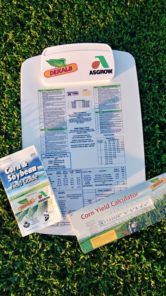 Lindsey Berg tweet media