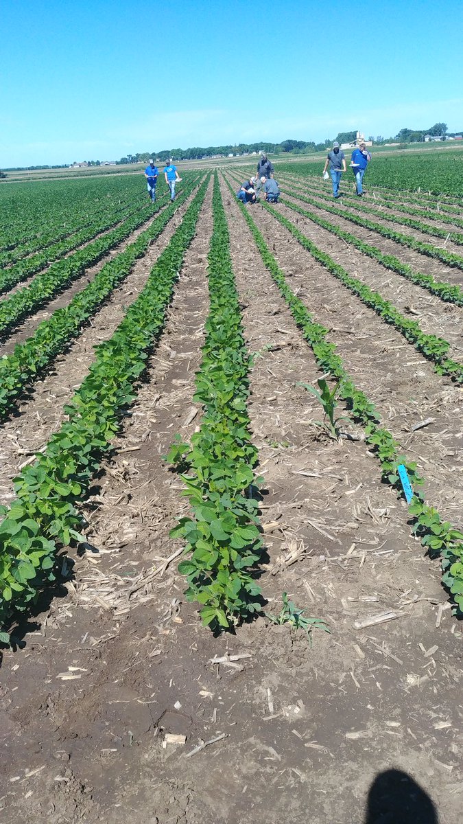 Lindsey Berg tweet media