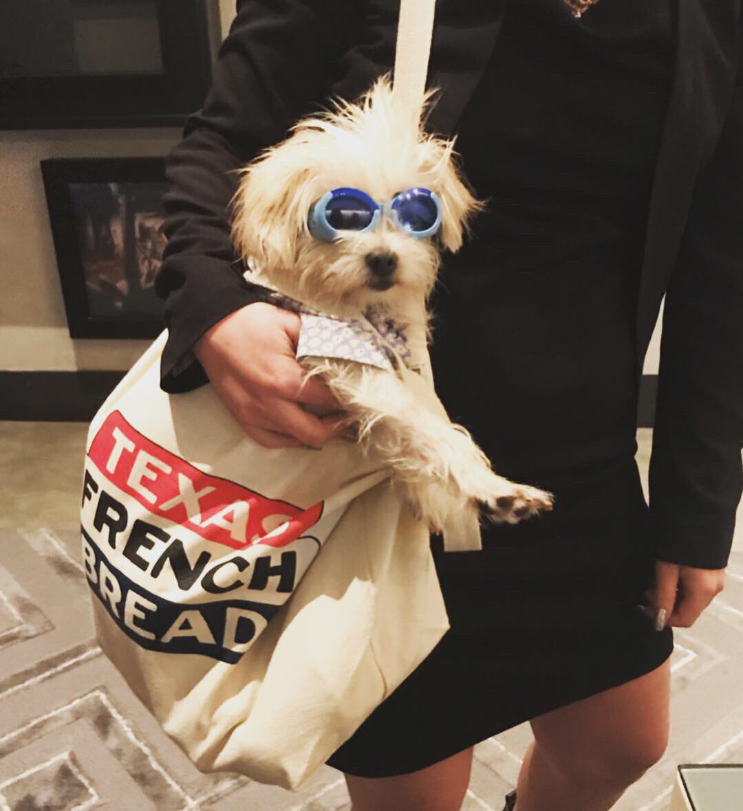 Not mine but i don't think <a href="/TxFrenchBread/">Texas French Bread</a> will mind.