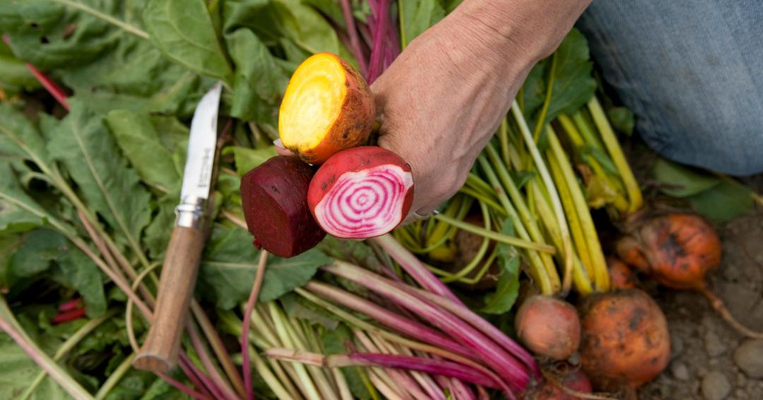 Earthbound Farm (earthboundfarm) Twitter