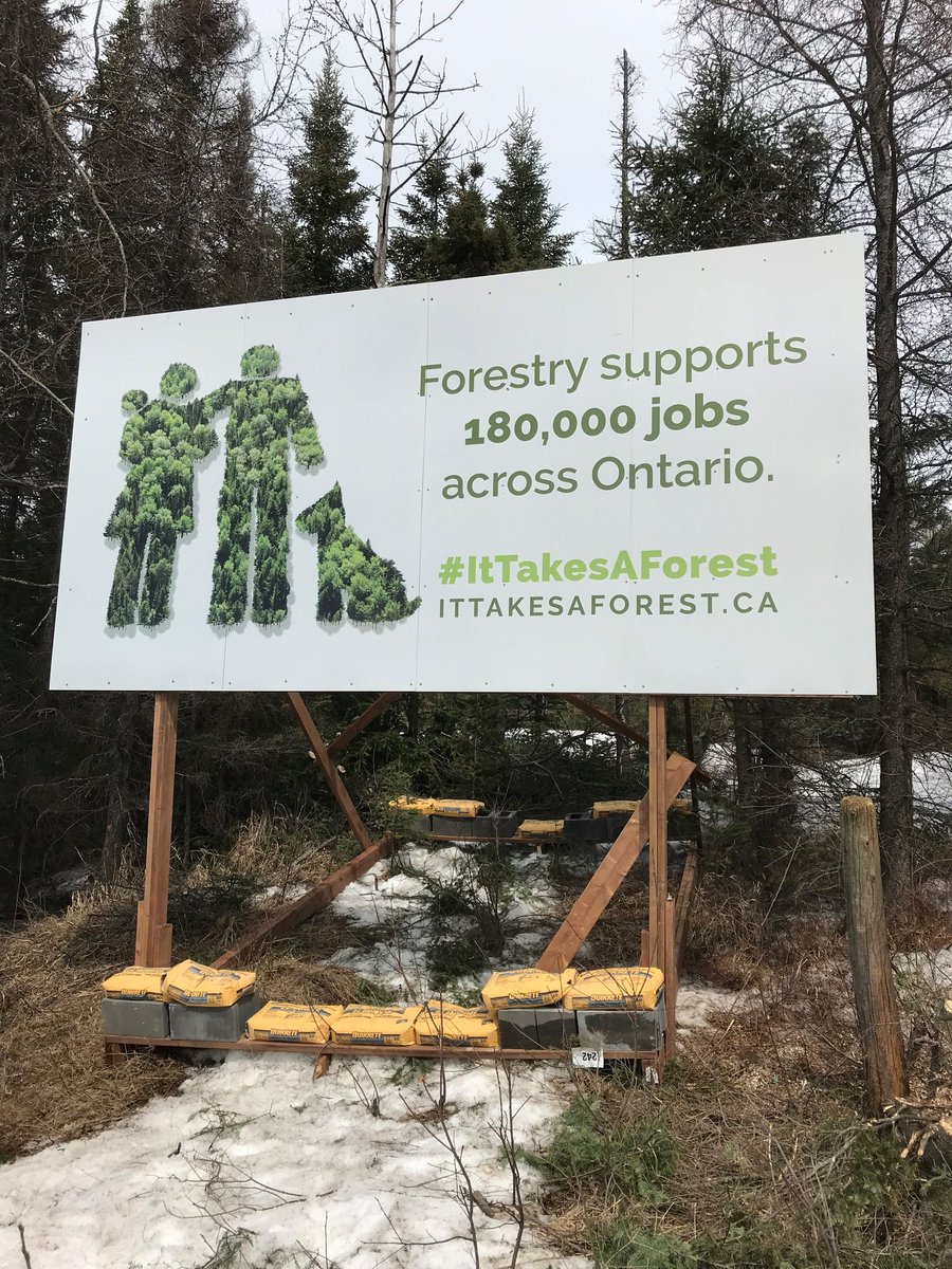 ItTakesAForest's tweet photo. ONโs forest sector supports 180,000 people & 260 communities, many of which are in northern & rural areas. Weโre going to be in Dryden tomorrow to celebrate the key role our forestsย play in supporting the provinceโs well-being at our newest billboard unveiling! #ItTakesAForest https://t.co/dYvCWKLZuI