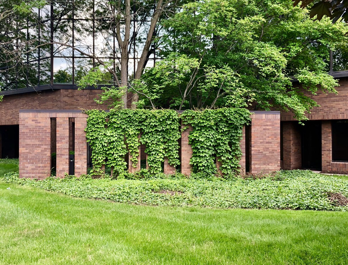 The Brauer Building (1984) & Atrium One Offices (1987)