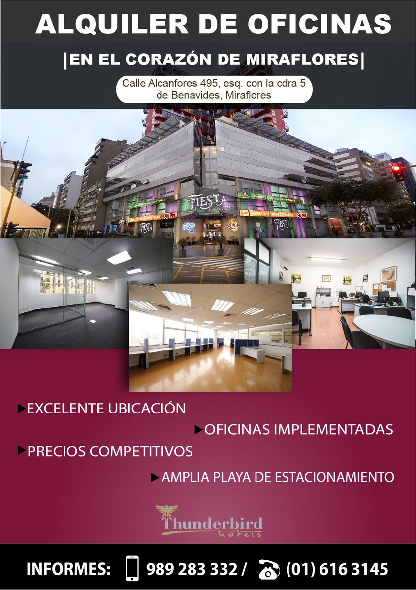 thunderbirdperu's tweet photo. 🔸¿Necesitas oficinas corporativas en una excelente ubicación?
implementadas y a PRECIOS INCREÍBLES!🚗 Contamos con una amplia playa de estacionamiento.
👉 Mayor información: 📱 989 283 334 📞 (01) 616 3145
🏢 Calle Alcanfores 475 - Miraflores https://t.co/eQ44U5uZ4e