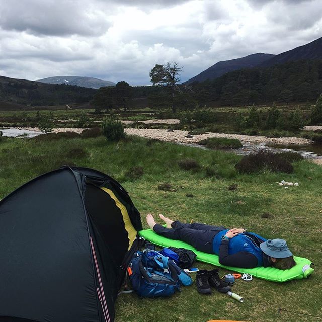 magsmchardy's tweet photo. This really was a great nap #moreweekendplease https://t.co/llvJCePpcC https://t.co/su11jbgsdZ